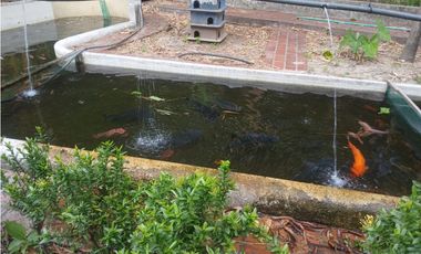 Gran finca en Bonda: 6,7 Has con lago, quebrada y piscina G-18