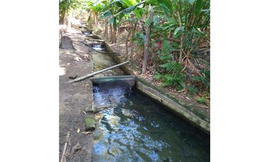 Gran finca en Bonda: 6,7 Has con lago, quebrada y piscina G-18