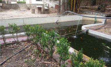 Gran finca en Bonda: 6,7 Has con lago, quebrada y piscina G-18