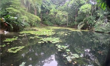 Gran finca en Bonda: 6,7 Has con lago, quebrada y piscina G-18
