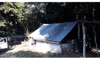 VENDO O PERMUTO FINCA SEMI QUEBRADA EN GUATAQUI CUNDINAMARCA