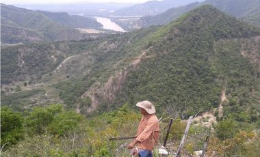 VENDO O PERMUTO FINCA SEMI QUEBRADA EN GUATAQUI CUNDINAMARCA