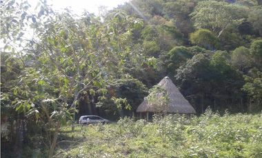 VENDO O PERMUTO FINCA SEMI QUEBRADA EN GUATAQUI CUNDINAMARCA