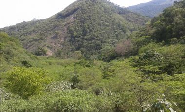 VENDO O PERMUTO FINCA SEMI QUEBRADA EN GUATAQUI CUNDINAMARCA