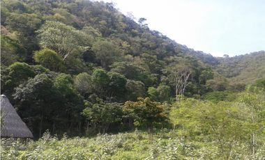 VENDO O PERMUTO FINCA SEMI QUEBRADA EN GUATAQUI CUNDINAMARCA