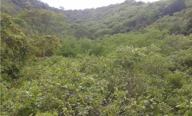 VENDO O PERMUTO FINCA SEMI QUEBRADA EN GUATAQUI CUNDINAMARCA