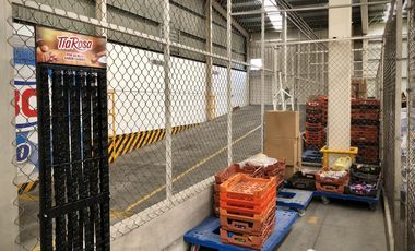 Bodega Industrial 8,000 M2 de construcción, 400 M2 de oficina y 110 cajones estacionamiento