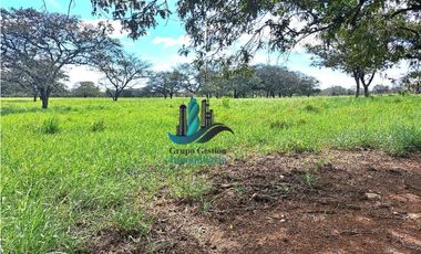 VENDO 40 HECTAREAS PLANAS CON RIO SAN LORENZO