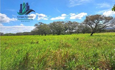 VENDO 40 HECTAREAS PLANAS CON RIO SAN LORENZO