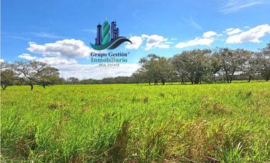 VENDO 40 HECTAREAS PLANAS CON RIO SAN LORENZO