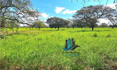 VENDO 40 HECTAREAS PLANAS CON RIO SAN LORENZO