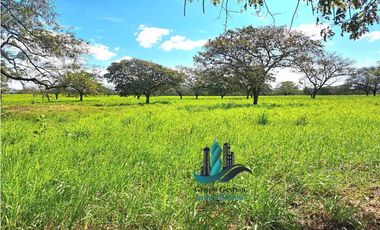 VENDO 40 HECTAREAS PLANAS CON RIO SAN LORENZO