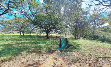 VENDO 40 HECTAREAS PLANAS CON RIO SAN LORENZO