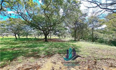 VENDO 40 HECTAREAS PLANAS CON RIO SAN LORENZO