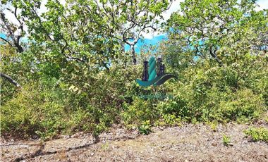 VENDO 40 HECTAREAS PLANAS CON RIO SAN LORENZO