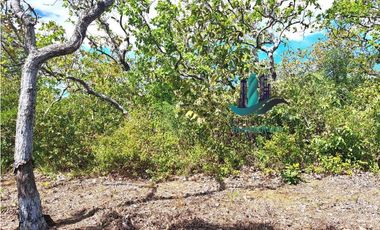 VENDO 40 HECTAREAS PLANAS CON RIO SAN LORENZO