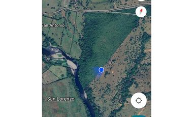 VENDO 40 HECTAREAS PLANAS CON RIO SAN LORENZO