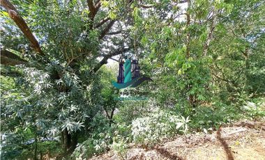 VENDO 40 HECTAREAS PLANAS CON RIO SAN LORENZO