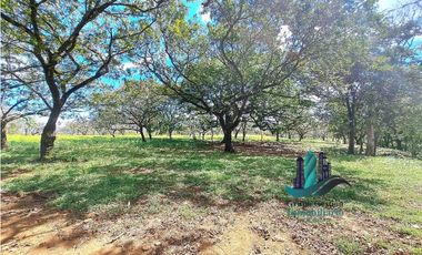 VENDO 40 HECTAREAS PLANAS CON RIO SAN LORENZO