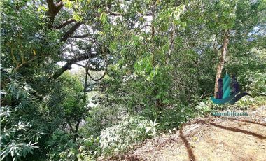 VENDO 40 HECTAREAS PLANAS CON RIO SAN LORENZO