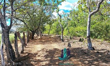 VENDO 40 HECTAREAS PLANAS CON RIO SAN LORENZO