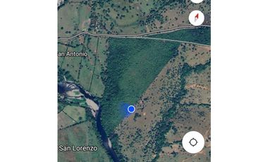 VENDO 40 HECTAREAS PLANAS CON RIO SAN LORENZO