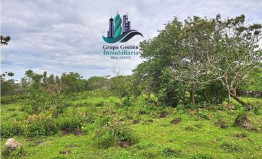 VENDO 18 HECTARES Y MEDIA ROVIRA