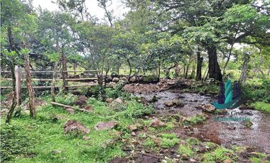 VENDO 18 HECTARES Y MEDIA ROVIRA