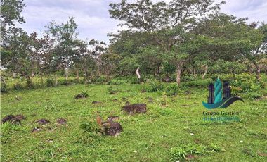 VENDO 18 HECTARES Y MEDIA ROVIRA