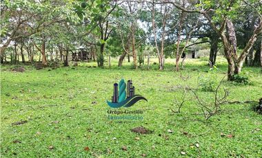 VENDO 18 HECTARES Y MEDIA ROVIRA