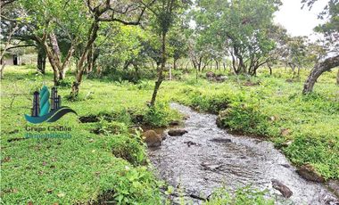 VENDO 18 HECTARES Y MEDIA ROVIRA