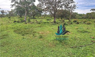 VENDO 18 HECTARES Y MEDIA ROVIRA