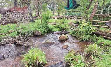 VENDO 18 HECTARES Y MEDIA ROVIRA