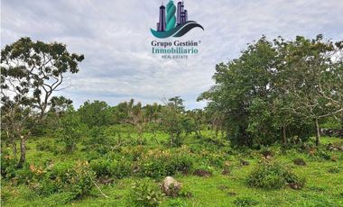 VENDO 18 HECTARES Y MEDIA ROVIRA