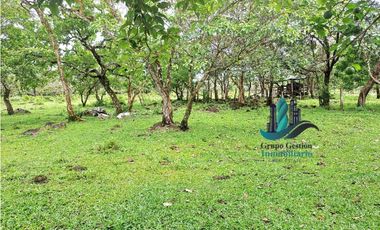 VENDO 18 HECTARES Y MEDIA ROVIRA