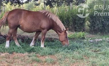 Parcela en Venta en La casa JV Parcela 7