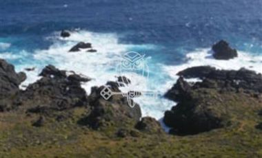 Sitio en Venta en Fray Jorge