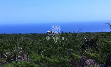 Parcela en Venta en Fray Jorge