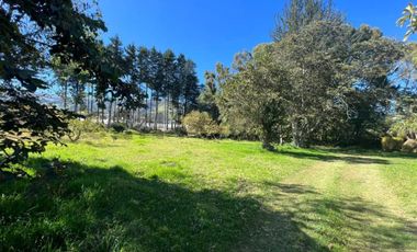 Venta Oportunidad Quinta - Terreno 18.300m2  Yaruqui - Pichincha