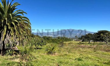 Venta Oportunidad Quinta - Terreno 18.300m2  Yaruqui - Pichincha