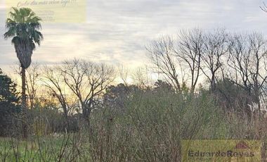 Terreno en  VENTA EN CALLE ESPAÑA PARQUE LAS NACIONES