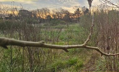 Terreno en  VENTA EN CALLE ESPAÑA PARQUE LAS NACIONES