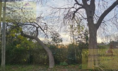 Terreno en  VENTA EN CALLE ESPAÑA PARQUE LAS NACIONES
