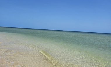 Terreno en San Benito Yucatan a 200 metros del mar