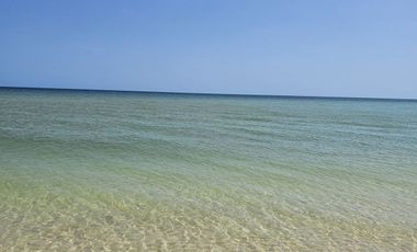 Terreno en San Benito Yucatan a 200 metros del mar