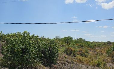 Terreno en San Benito Yucatan a 200 metros del mar