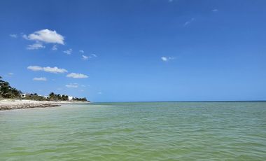 Terreno en San Benito Yucatan a 200 metros del mar