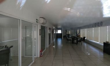 BODEGAS EL CASTILLO, EL SALTO