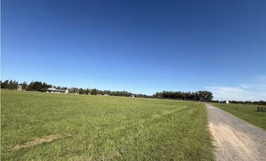 Lote en venta de 9386 m2 en Chacras de San Andrés Villa Ruiz