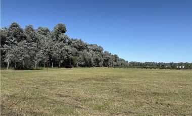 Lote en venta de 9386 m2 en Chacras de San Andrés Villa Ruiz